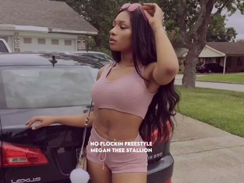 RT @theemegverse: No Flockin Freestyle by Megan Thee Stallion. https://t.co/618T6PokuV