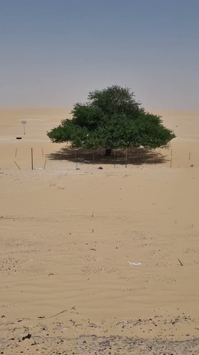كم تبعد الخرج عن الدمام