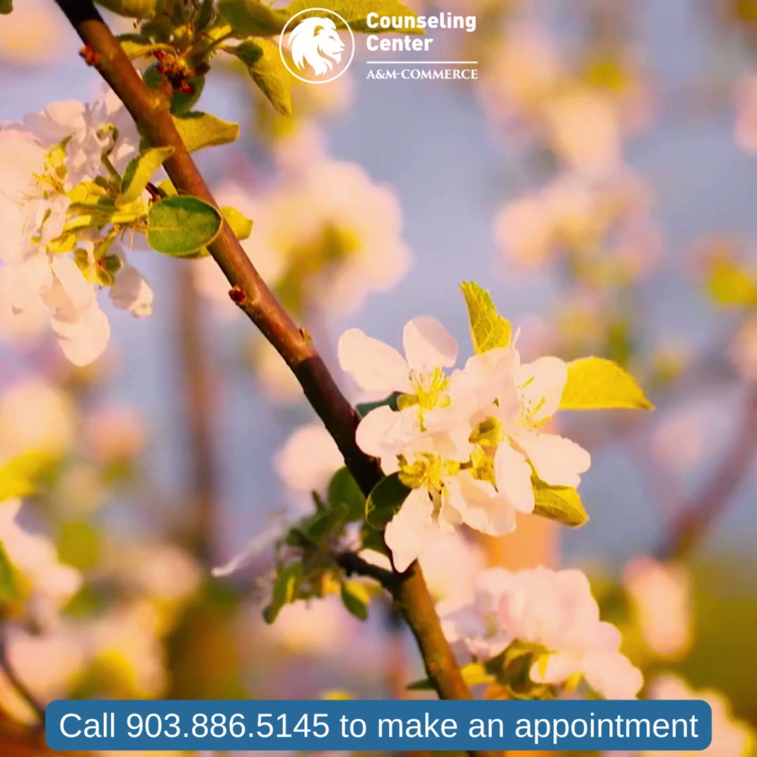 TAMUC Counseling Center on Twitter: quot YOUR MENTAL HEALTH MATTERS Call