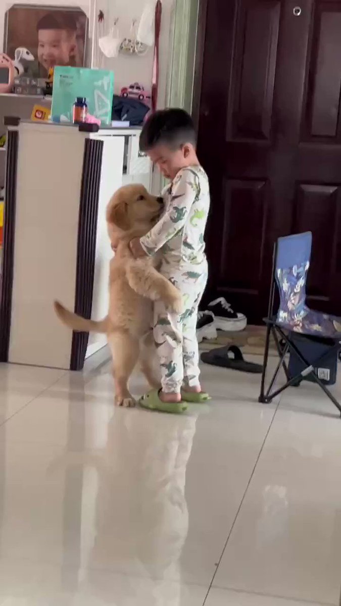 Human Cubs And Golden Retriever Cubs Snuggles, This Picture Is Too Lovely
#heapet #goldenretriever #human #Cubs https://t.co/ZDAHibRwKS