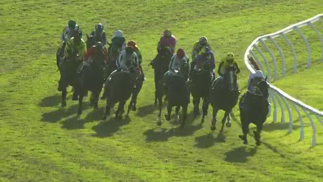 Bright, bubbly and popular, Phanta has too much in the tank for rivals in the Listed HG Bolton Sprint over 1200m at Belmont.
First up from his stakes 2nd in January, Phanta becomes the 7th stakes winner for @yarradale_stud’s Shamardal stallion, Gingerbread Man and takes his tally… https://t.co/2HAy5JhwJv https://t.co/USum0x9H6s