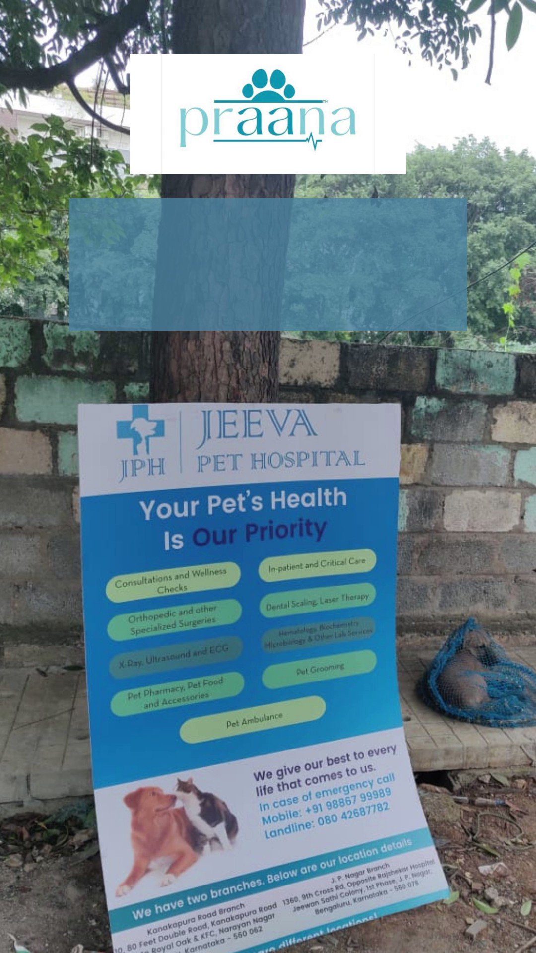 Jeeva pet clinic jp nagar sale