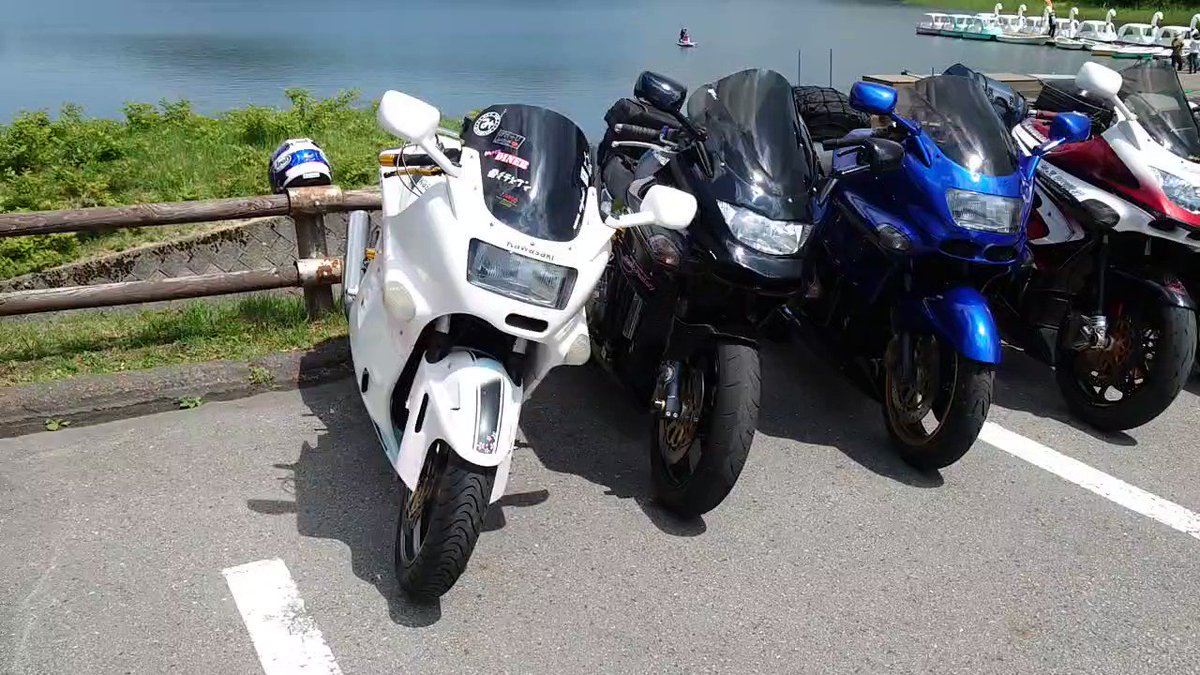 zx11 - Search / X