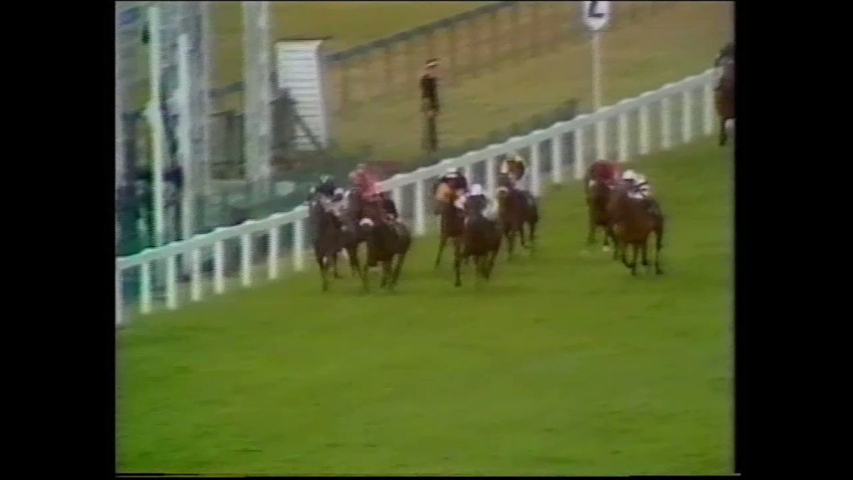 RT @horsevault: 1971 King George VI & Queen Elizabeth Diamond Stakes - Mill Reef https://t.co/31sFYf7Uww