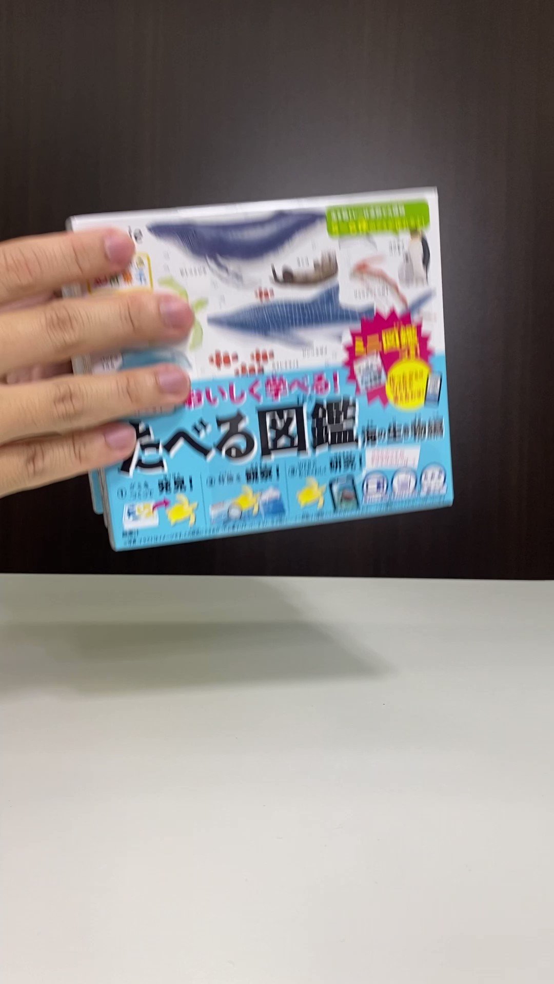 あにょといっしょ(いりゅーじょん) - UNBOX AZONE INTERNATIONAL::えっくす☆きゅーと::商品詳細
