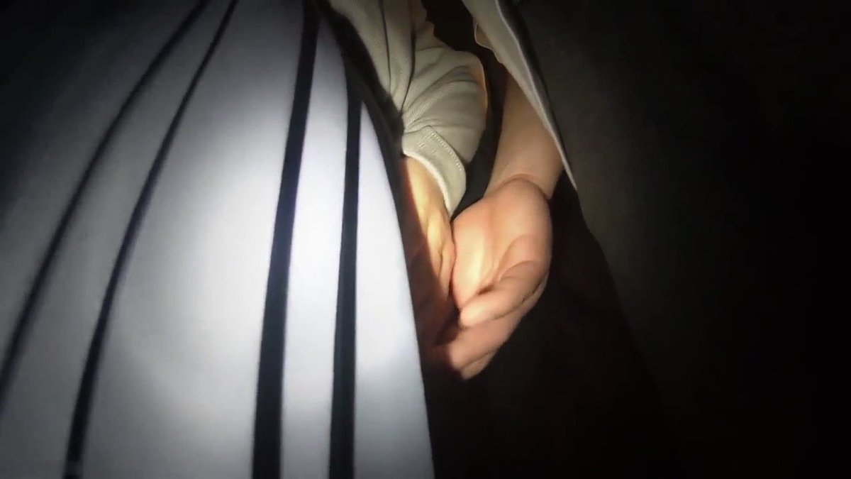 扫楼顺丝 | Twitter Video Tools