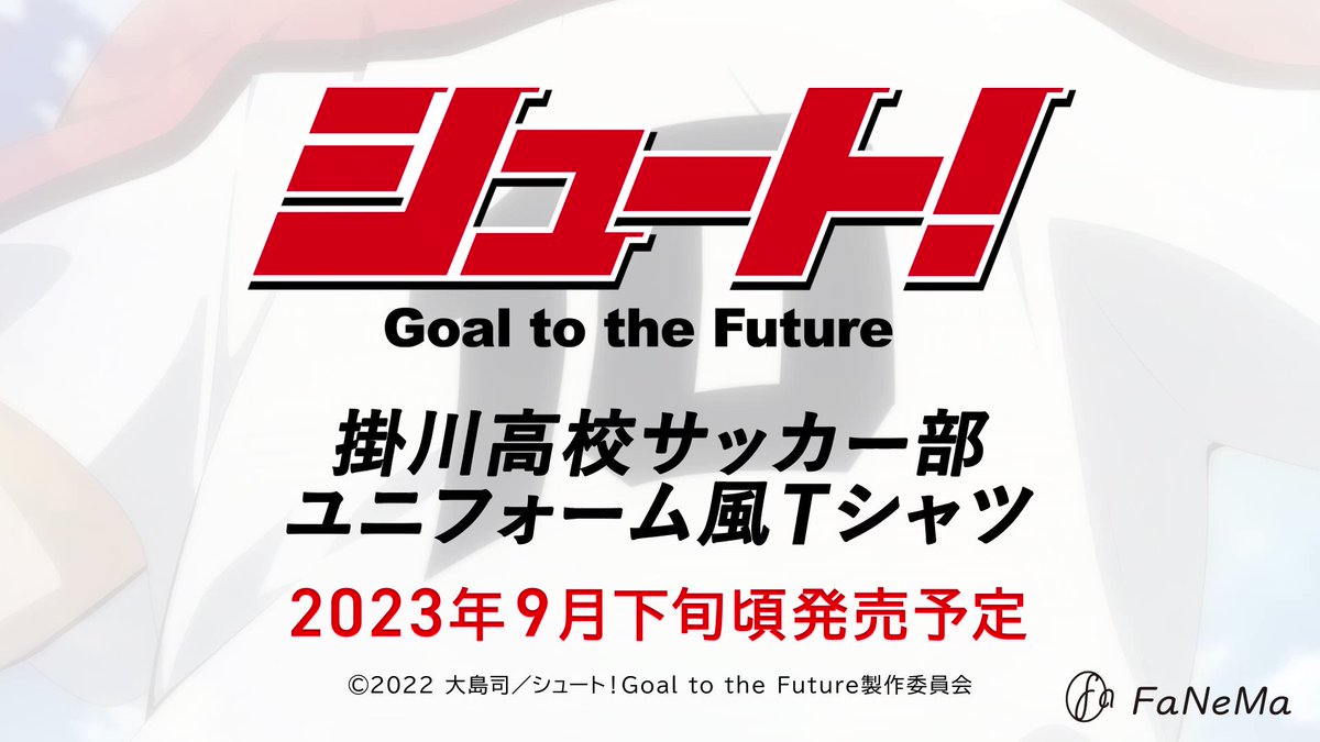 アニメ「シュート！ Goal to the Future」公式サイト