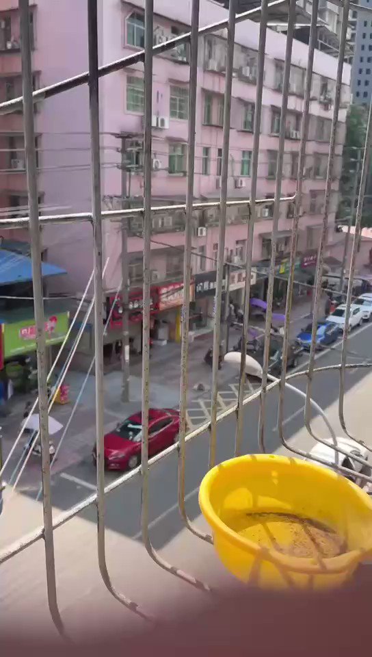 [爆卦]  四川安岳縣砍人 有片慎入