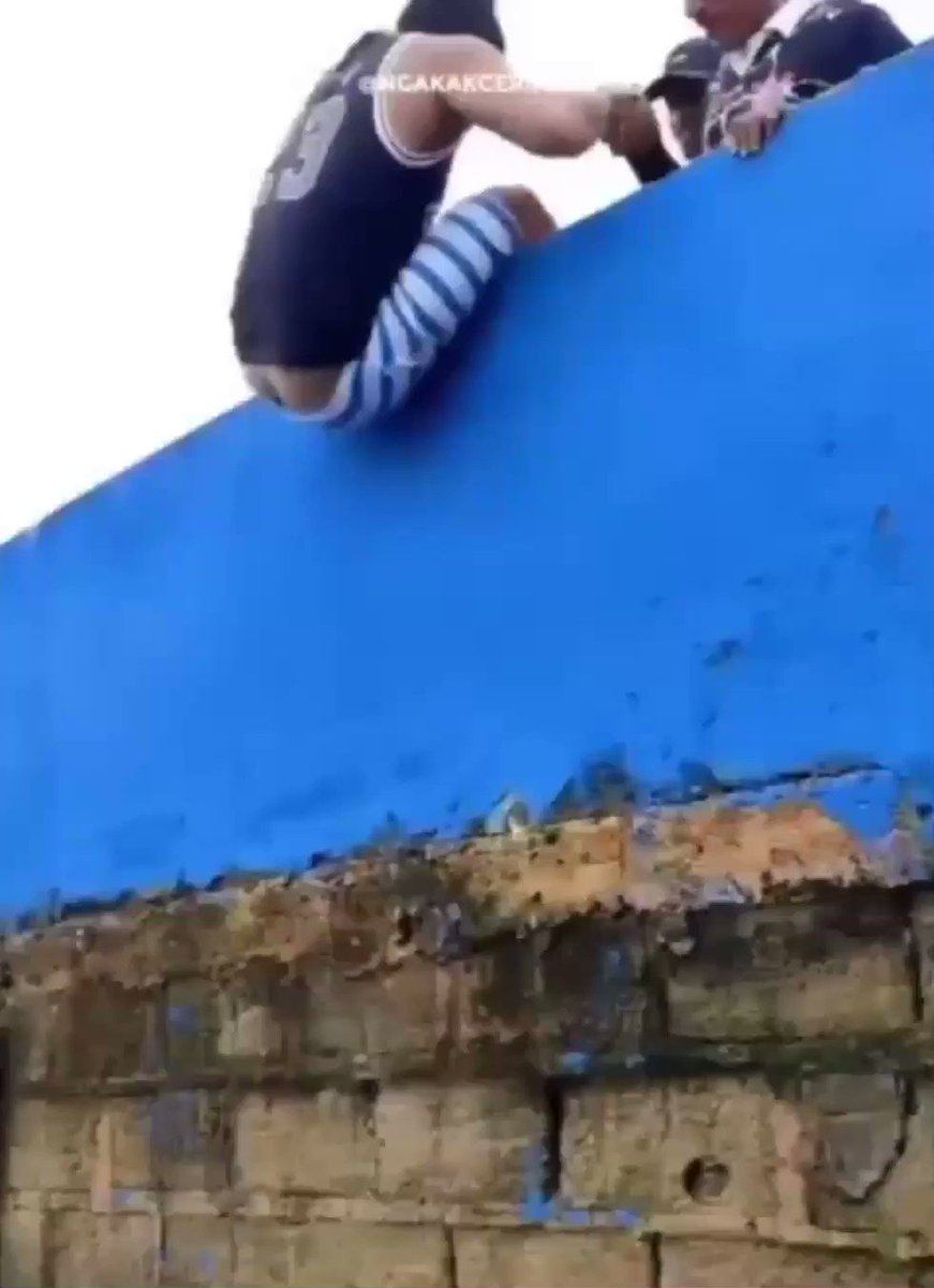 Video oleh @tannokasa4