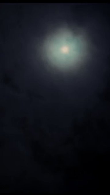 Shark In The Dark | Coming Soon https://t.co/UaqWskgFAt