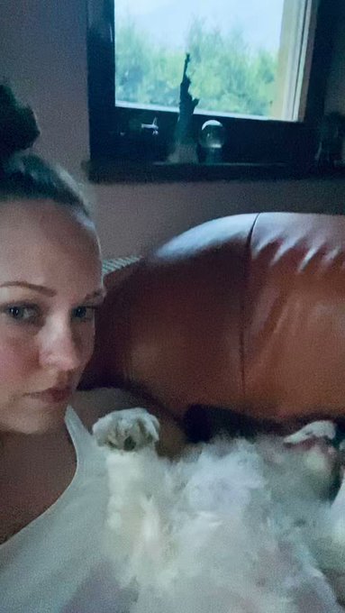 🤨😴 https://t.co/X9j1DvNa8i