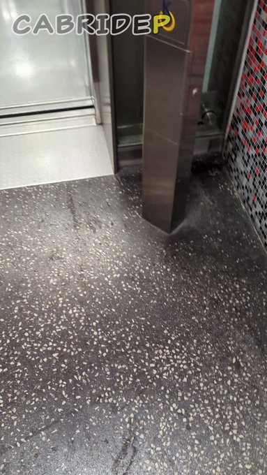 Cabridep’s pics and videos