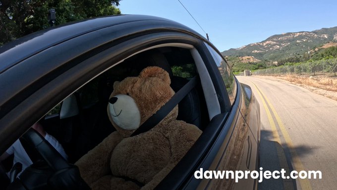 We taught a bear how to drive a Tesla! 🐻🎈🦄 👻 https://t.co/xp2b5B6vrp
