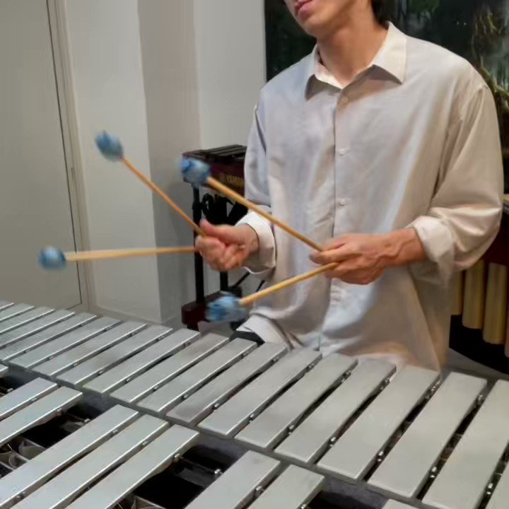 SONOBEのスティールパン❣️15音‼️なんて不思議な音なの