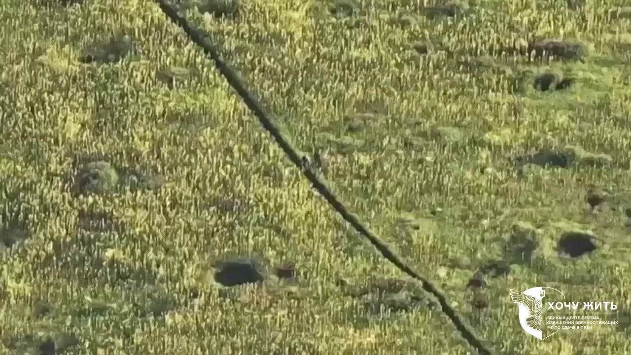 Re: [情報] 情報數則