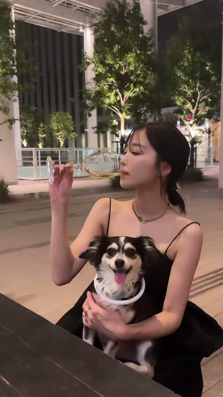 値下げ】 ALEXIA STAM 休井三郷 バチェラー 水着セパレート - ivnl.com.br