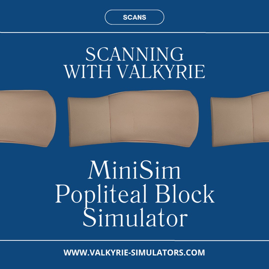Scans Gallery Valkyrie Simulators