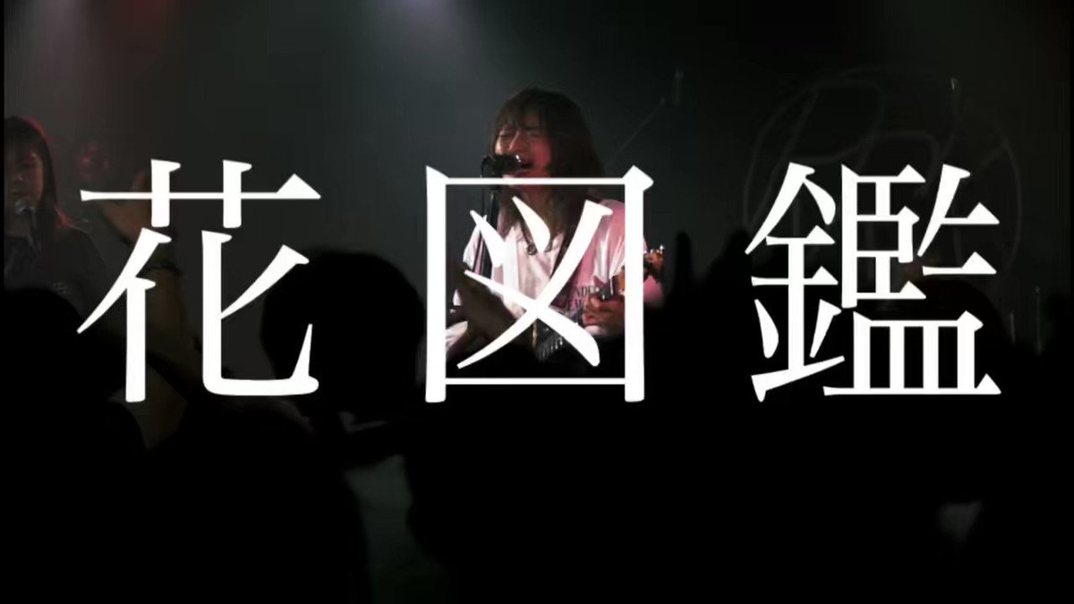 希少！◆中村彰宏◆【朝の散歩\"花を探しに\"】100枚限定19/100◆額付 花図鑑
