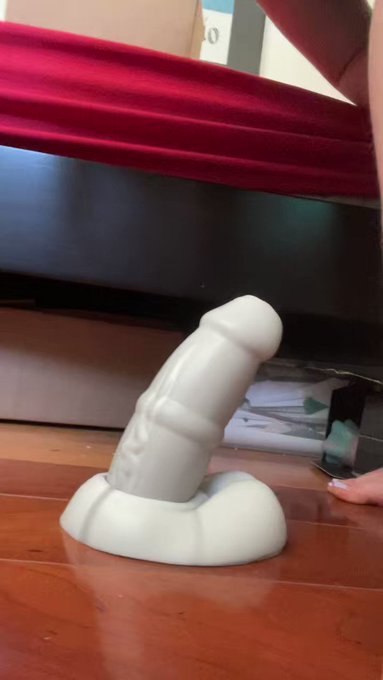 Quinn’s pics and videos