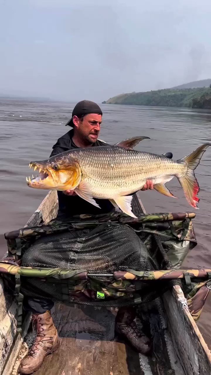 Видео рыбалку