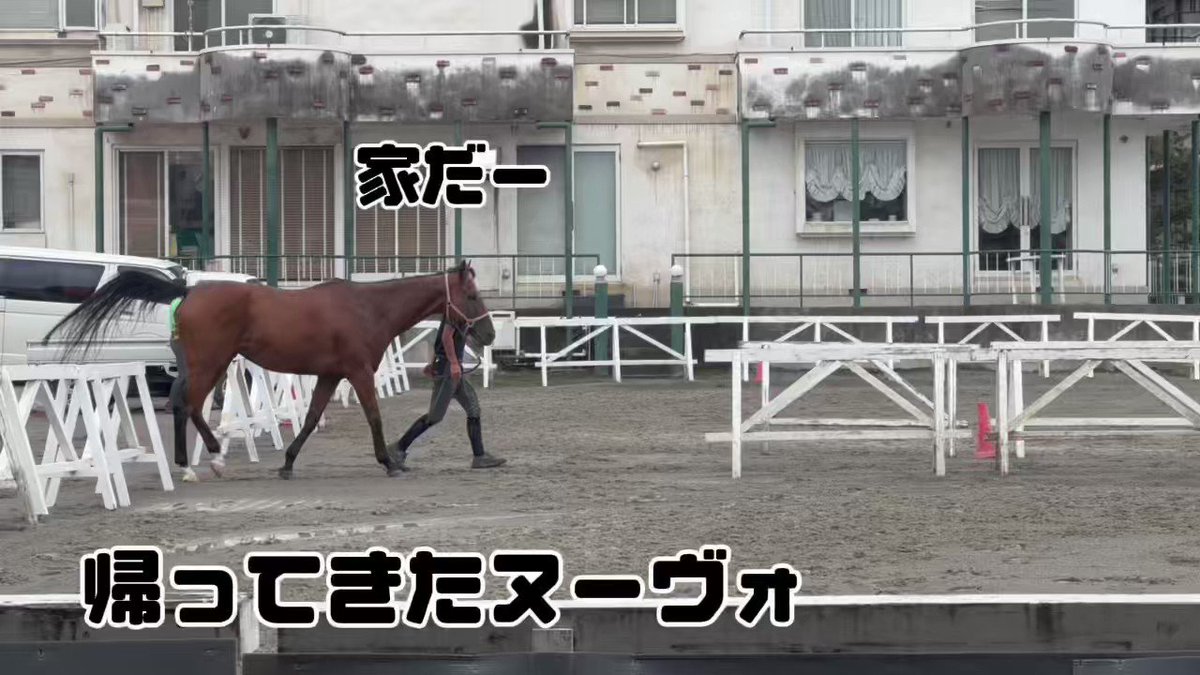ラスース　「乗馬」夏 第38回サマーホースショー2023 - অনুসন্ধান / X