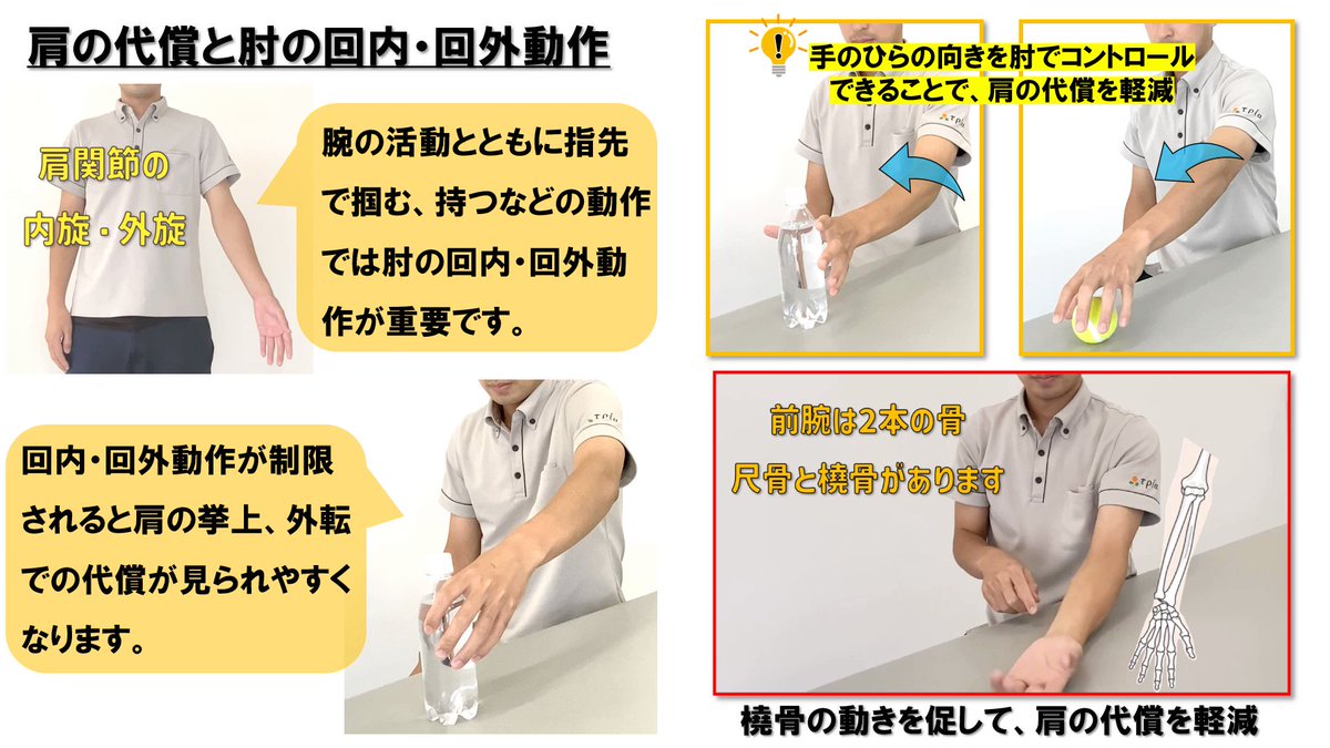 肩と肘のリハビリテーション 機能でみる 船橋整形外科方式 肩と肘のリハビリテーション