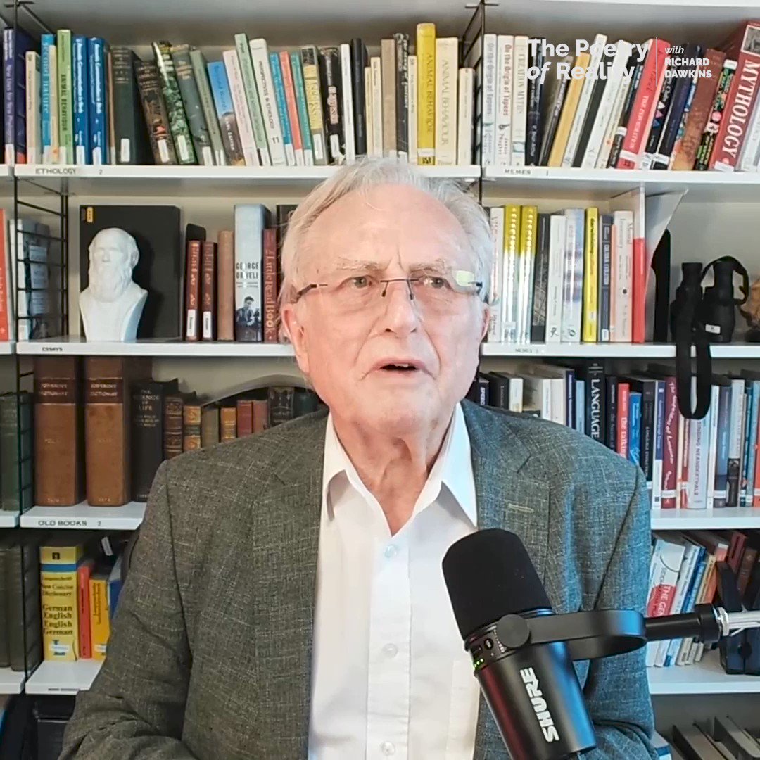 Rapport Richard on X: Thankfully the trip to Bucharest went smoothly, and now waiting for the one and only @jordanbpeterson We are so excited for being able to see him live in