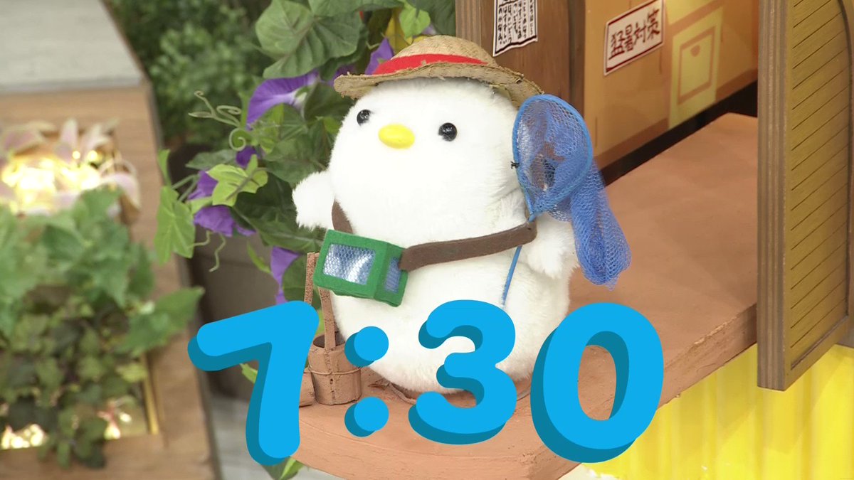あおけちゃん（笑）よろしくお願いします♡ 新品】お兄ちゃんはおしまい！25 / GRINP 発売日:2023年05月頃