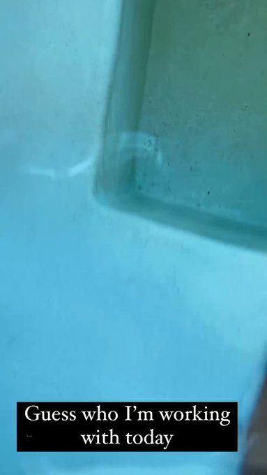 Today was such a awesome day ?

Guess who?!? ??? https://t.co/3bCGqguXuK