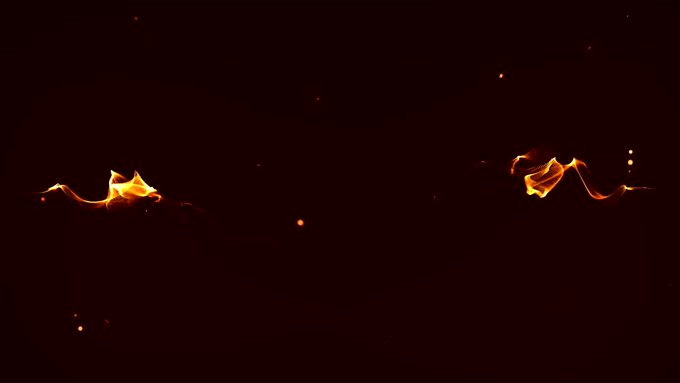 Mike Zander’s pics and videos