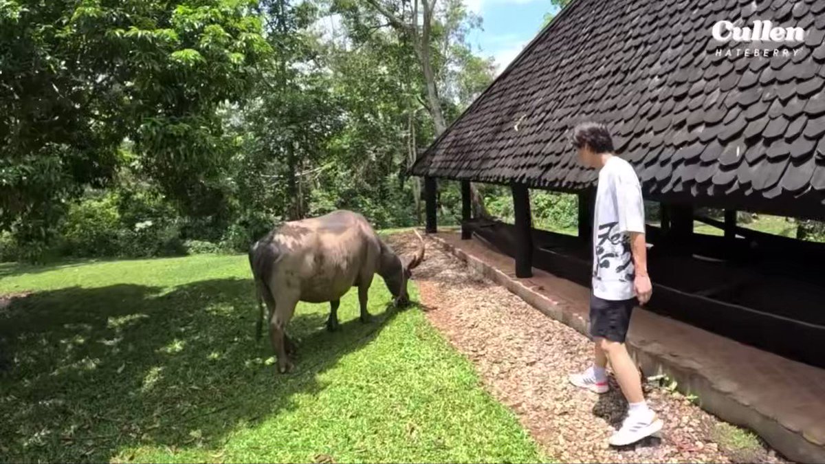 pxxxz (@eWvXZk8FBcGEPPr)  X