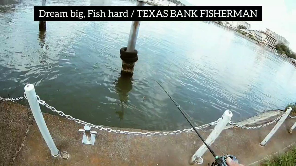 Texas Bank Fisherman 🇨🇱 (@TexasBankFish1) / X