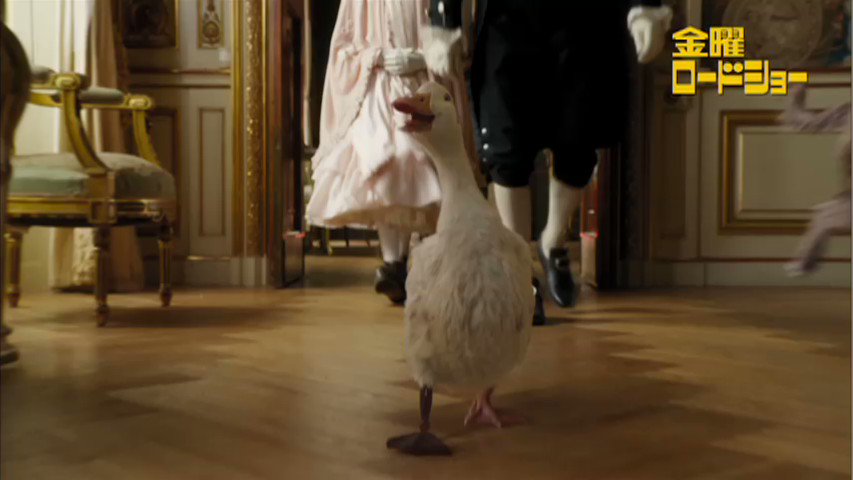 ローラースケーター　冒険家の発見　おとなのおねえさん　ドクター ローラースケーター 冒険家の発見 おとなのおねえさん ドクター