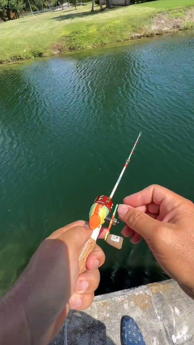 ROS SCENES on X: Catching a fish with a micro rod 🫨 (via Bryantheceo/TT )  #fishing #summer #outdoors  / X