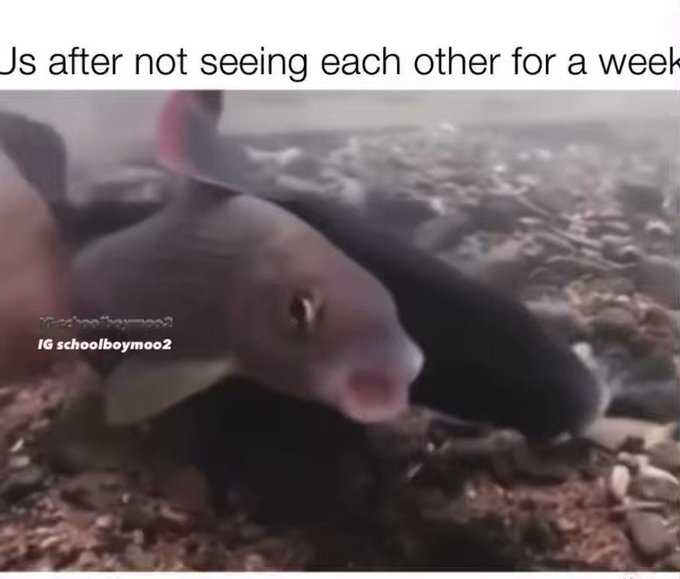 Me and Will when I get back from out of town! https://t.co/wF5AoGrIfy