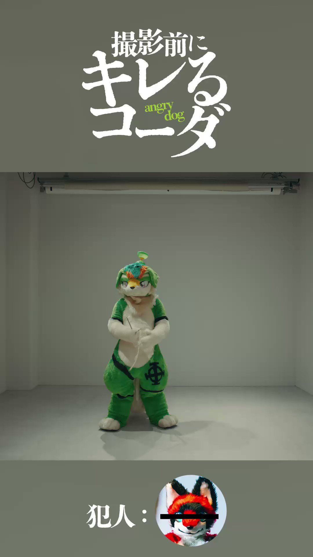 ララミーちゃん⏩️2508W2 ラブリーサマーちゃん ニューミニアルバム『Music For Walking