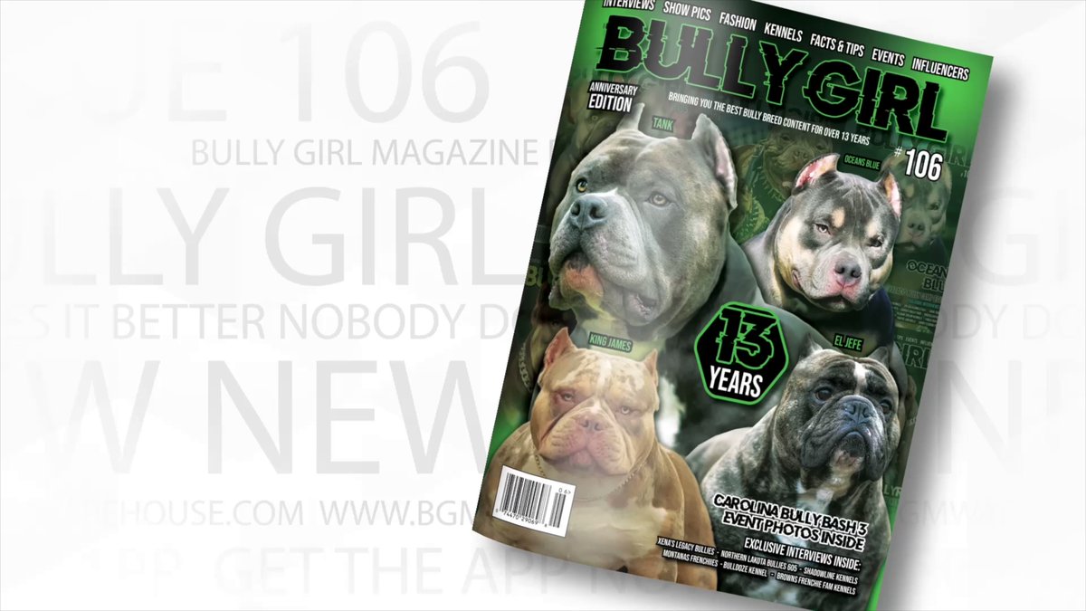 Bully Girl Magazine Issue 100 - 12 Year Anniversary Edition (Last
