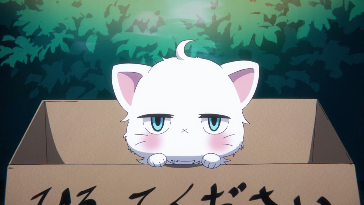@do_tennen_anime's video Tweet renrenちゃん♡