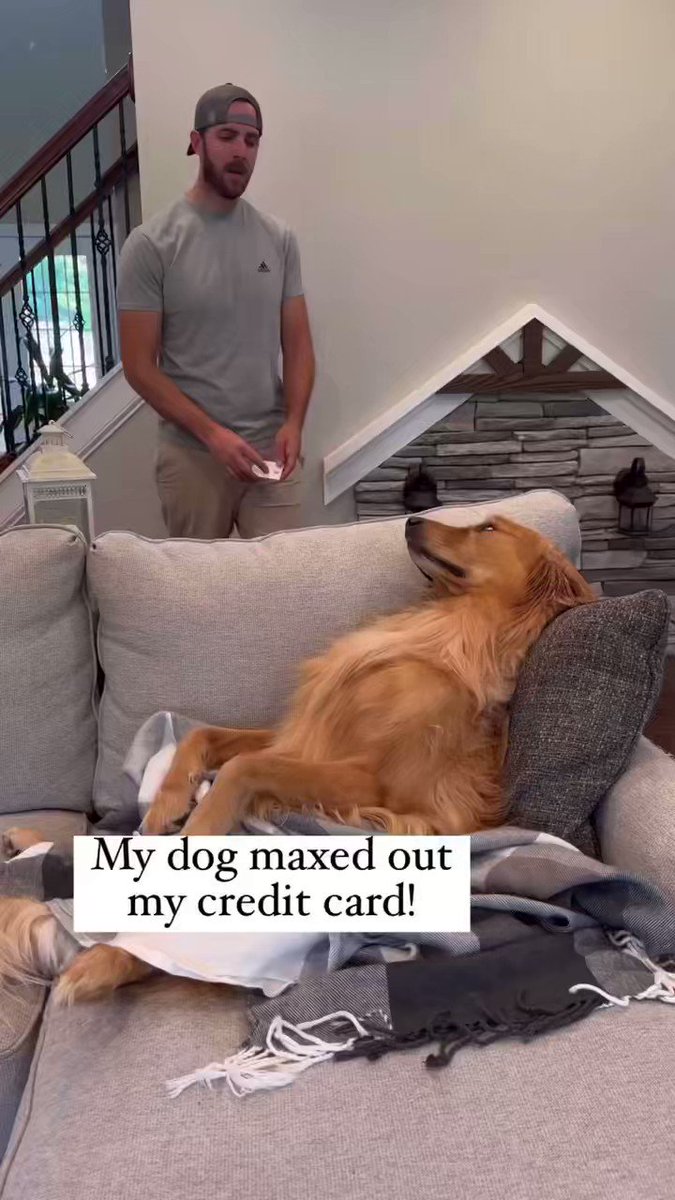 167 犬のいたずら