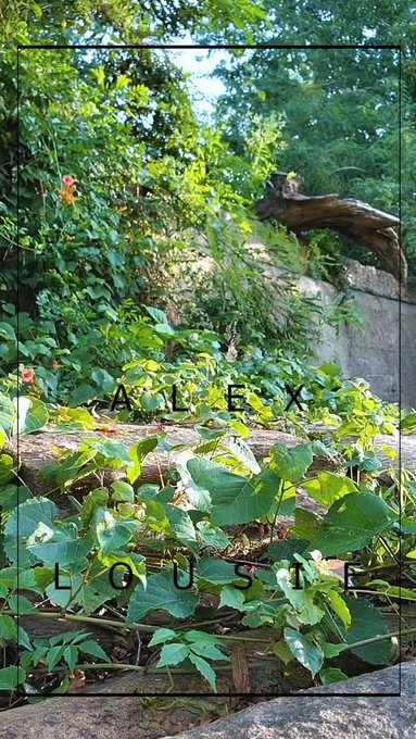 Oof, I just sent my friend a screenshot from one of my old promos to show off the boots I might wear<a href="/tag/mvsales"class="tags"><span>&#35;mvsales</span></a>