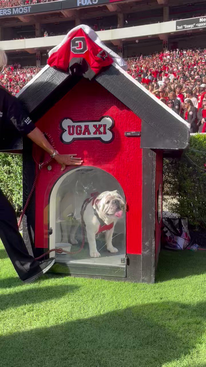 Georgia has a new mascot. Meet Uga XI 