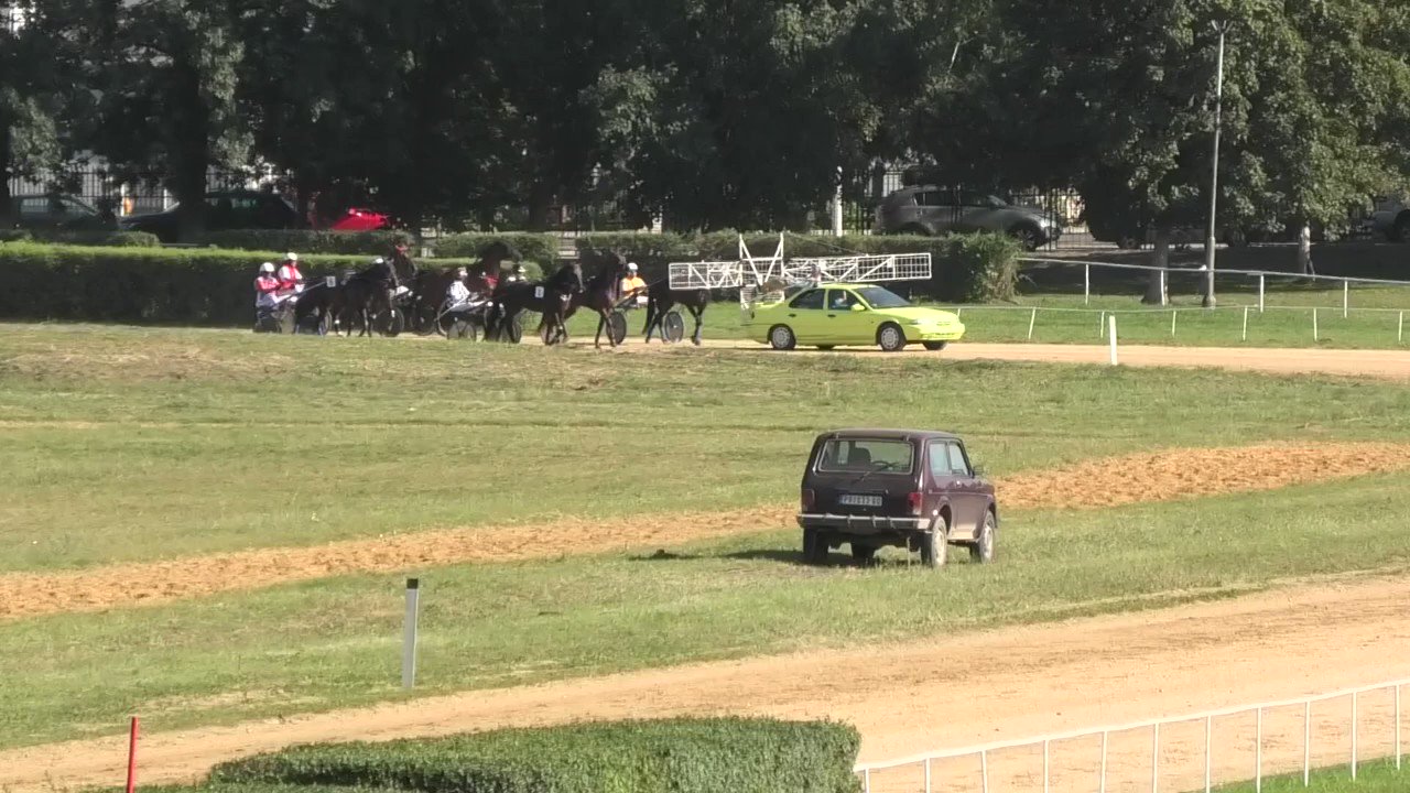 [花邊] 阿肥再次賽馬奪冠