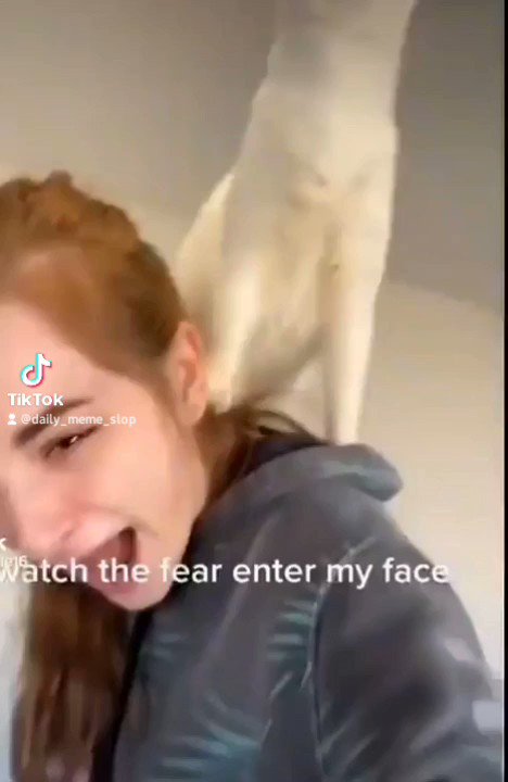 i hope so - - FOLLOW @memeolous_ FOR MORE - - #memes #dailymemes #viral #shitpostmemes #shitpost #shitposting #deepfriedmemes #reels #real…