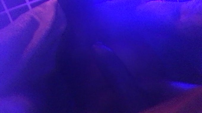 #PLAYBOYKEEDY🐰 18+ Only🔞 #ADULTFILM🎥⭐️ #BBC #AMATEUR #LADIESONLY✌️ https://t.co/iyFqFRDXBO<a href="/tag/playboykeedy"class="tags">#PLAYBOYKEEDY</a><a href="/tag/adultfilm"class="tags">#ADULTFILM</a><a href="/tag/bbc"class="tags">#BBC</a><a href="/tag/amateur"class="tags">#AMATEUR</a><a href="/tag/ladiesonly"class="tags"><span>#ladiesonly</span></a>