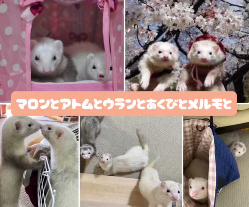 @MandAwithU's video Tweet