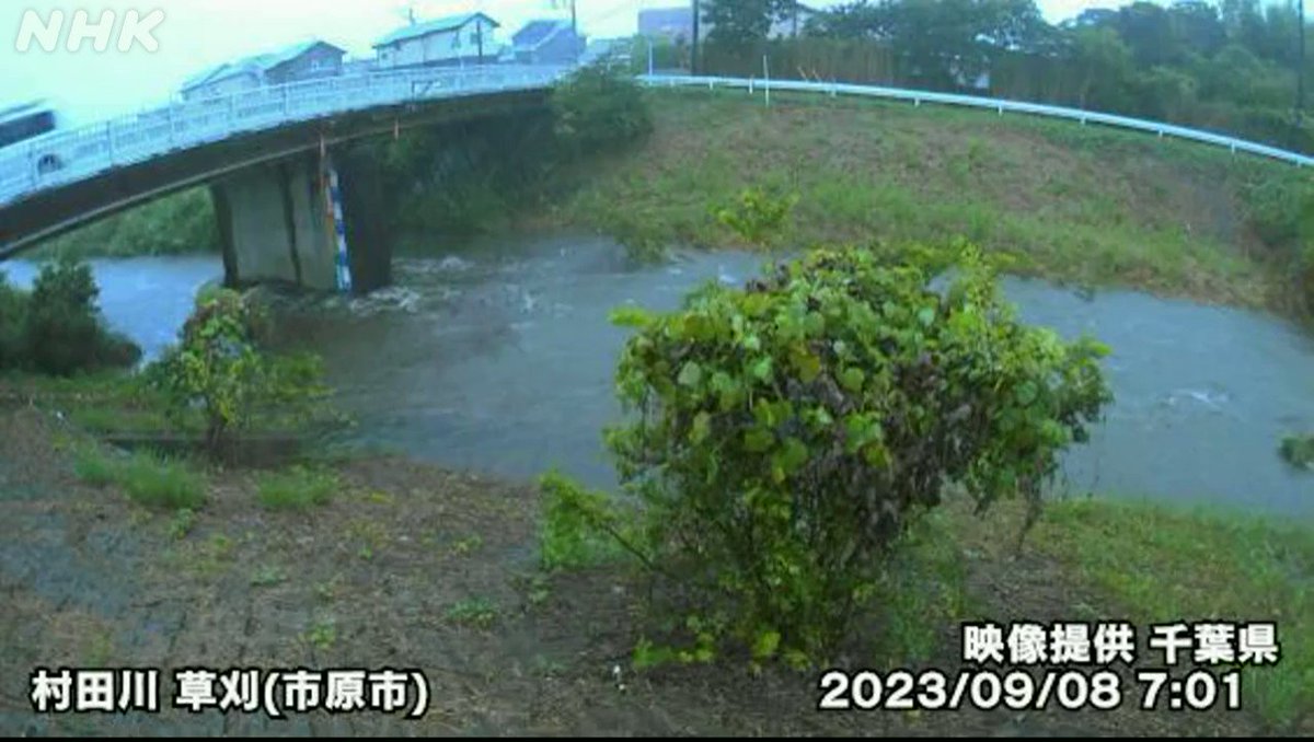 むらちゃん　千葉県茂原市　佐川元払い　変更 千葉県産 JAかとり 紅はるか Lサイズ 約5キロ 13本前後 送料無料