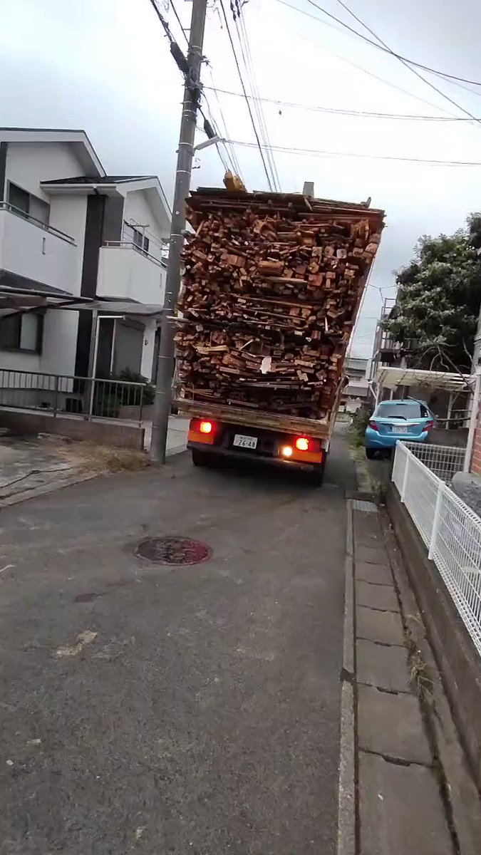 Video by @bakusai_com