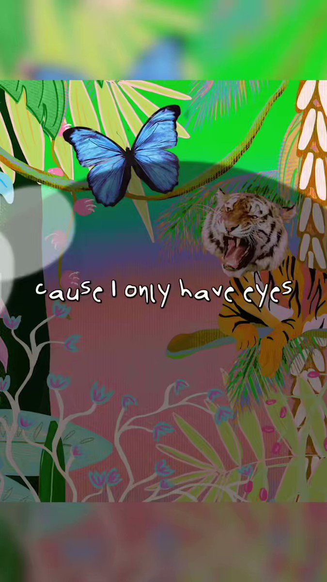 ButterflyTiger (@bftmusic) / X ButterflyTiger (@bftmusic) / X