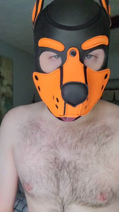 Just enjoying my bulge today 🥰 #pupplay #bulge https://t.co/95rM7VTYu6<a href="/tag/pupplay"class="tags">#pupplay</a><a href="/tag/bulge"class="tags">#bulge</a>