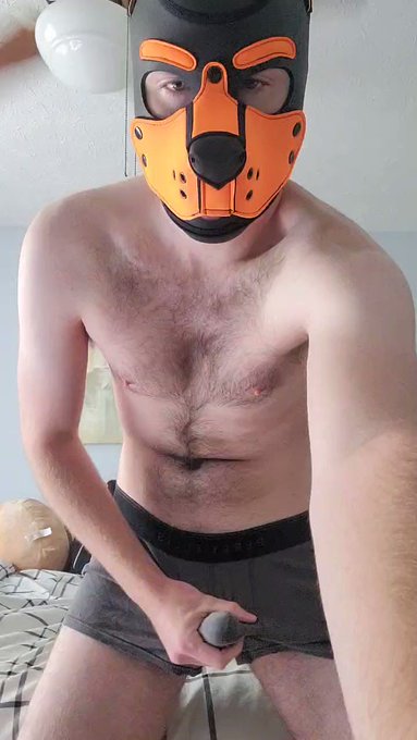 One bulging pup for your Friday consideration 🥹 #pupplay #bulge https://t.co/qfbbG7qnlP<a href="/tag/bulge"class="tags"><span>#bulge</span></a><a href="/tag/pupplay"class="tags"><span>#pupplay</span></a>